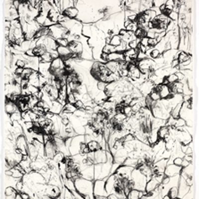 Lynne Mak – contemporary artist. Ink drawings - Australian outback landscape painting.