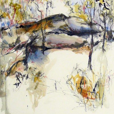Lynne Mak – contemporary artist. Ink drawings - Australian outback landscape painting.