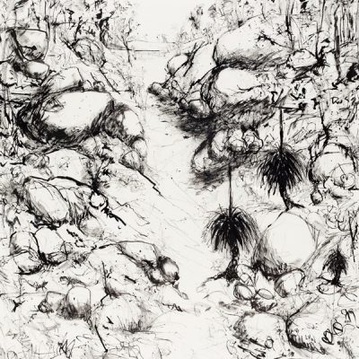 Lynne Mak – contemporary artist. Ink drawings - Australian outback landscape painting.