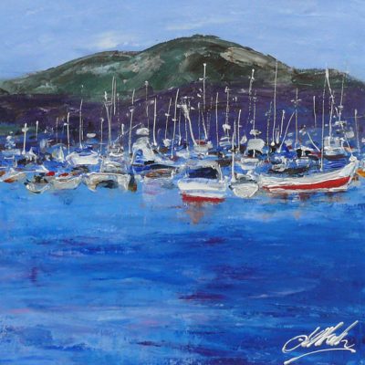 Lynne Mak – contemporary artist. Australian landscapes. Acrylic paintings.