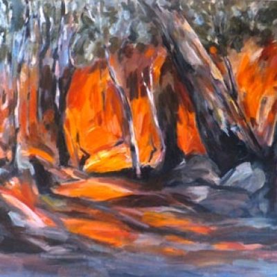 Lynne Mak – contemporary artist. Australian landscapes. Acrylic paintings.