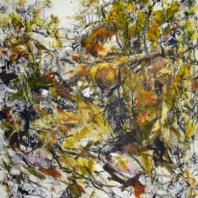 Lynne Mak – contemporary artist. Australian landscapes. Acrylic paintings.