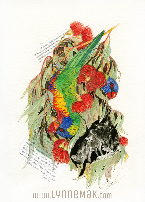 Rainbow Lorikeets - Lynne Mak – contemporary artist. Bird art – Australian birds and Australian parrots.