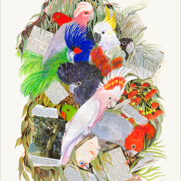Bird Prints