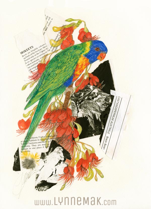Rainbow Lorikeet - Lynne Mak – contemporary artist. Bird art – Australian birds and Australian parrots.