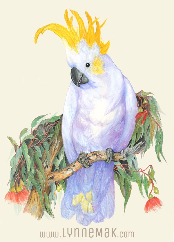 Sulphur Crested Cockatoo - Lynne Mak – contemporary artist. Bird art – Australian birds and Australian parrots.