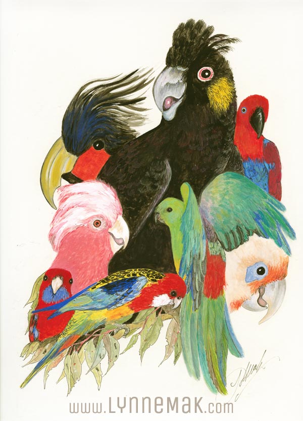 Black Cockatoo - Lynne Mak – contemporary artist. Bird art – Australian birds and Australian parrots.
