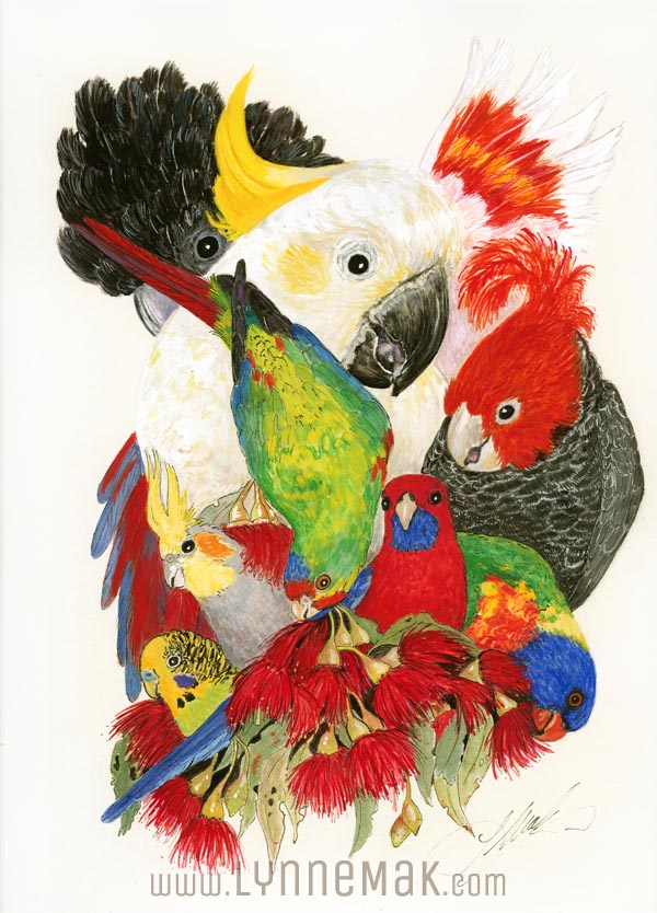 White Cockatoo - Lynne Mak – contemporary artist. Bird art – Australian birds and Australian parrots.