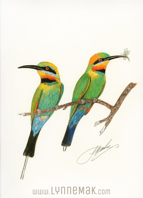 Rainbow Bee Eaters - Lynne Mak – contemporary artist. Bird art – Australian birds and Australian parrots.