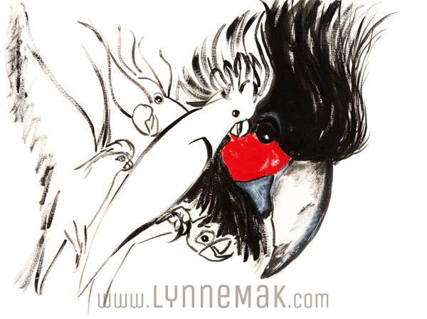 Black Palm Cockatoo - Lynne Mak – contemporary artist. Bird art – Australian birds and Australian parrots.