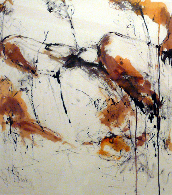 Ink Drawings
