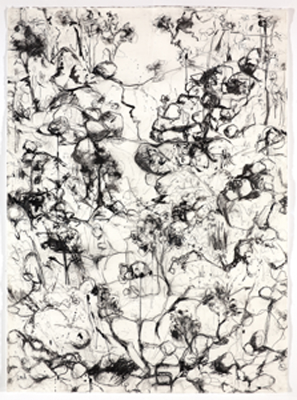 Ink Drawings