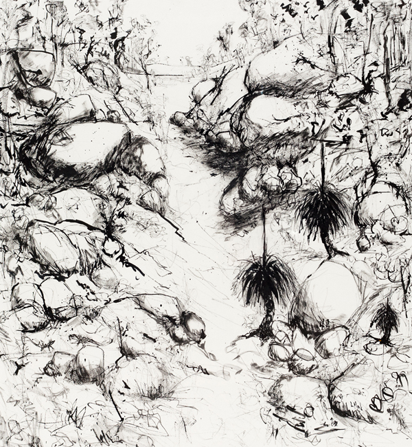 Ink Drawings